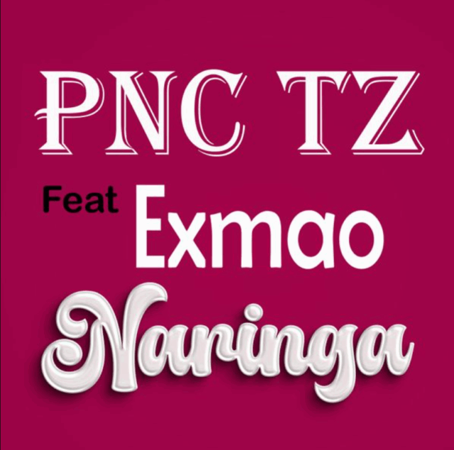 Pnc tz ft Exmao – Naringa