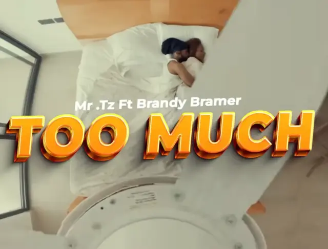 Mr.Tz ft Brandy Bramer – Too Much