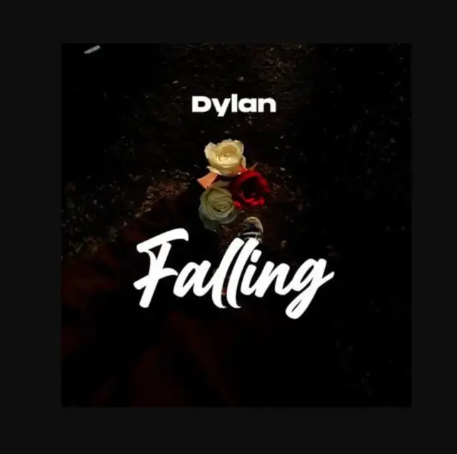 Dylan – Falling