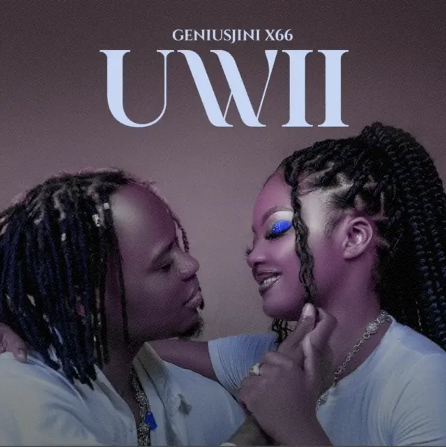 Geniusjini X66 – Uwii