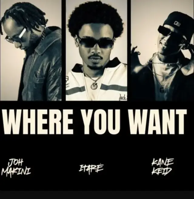 Itaré ft Joh Makini – Where You Want